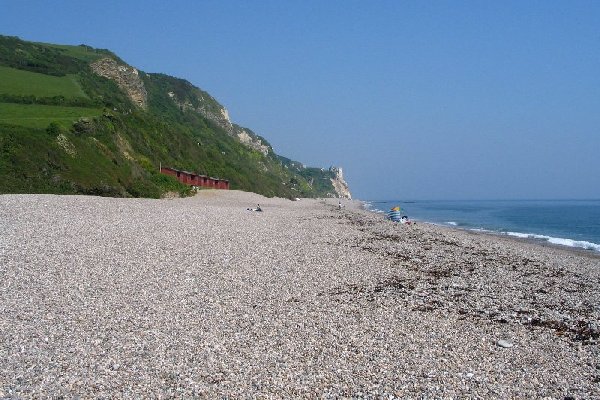 branscombe Photo