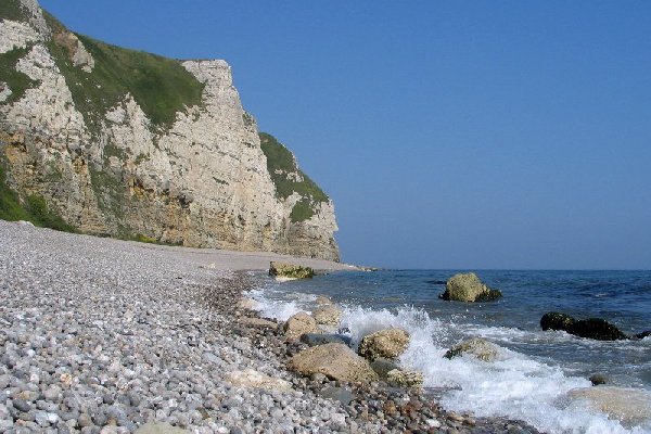 branscombe Photo