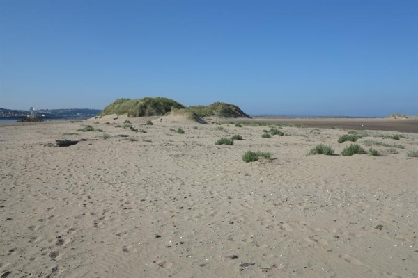 braunton Photo