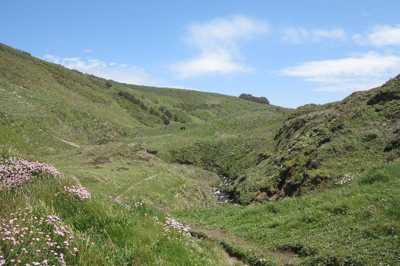 Marsland Mouth Photo