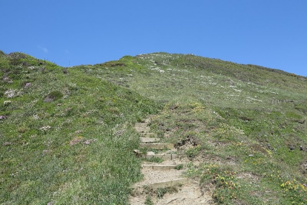 Marsland Mouth Photo