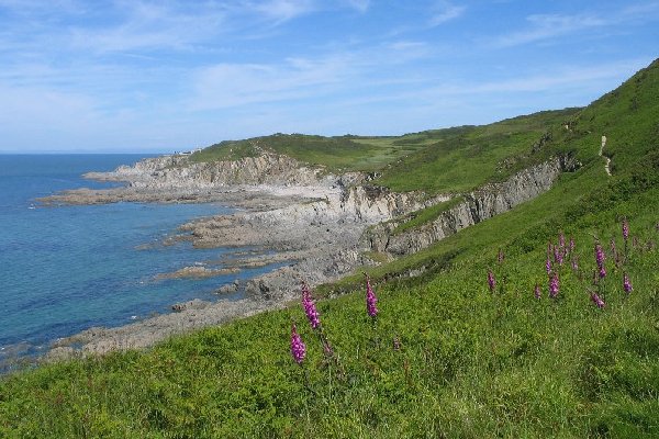 rockham Photo