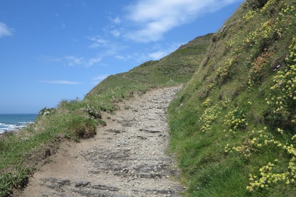 Welcombe Mouth Photo