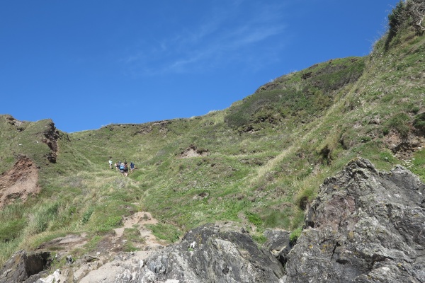 mattiscombe Photo